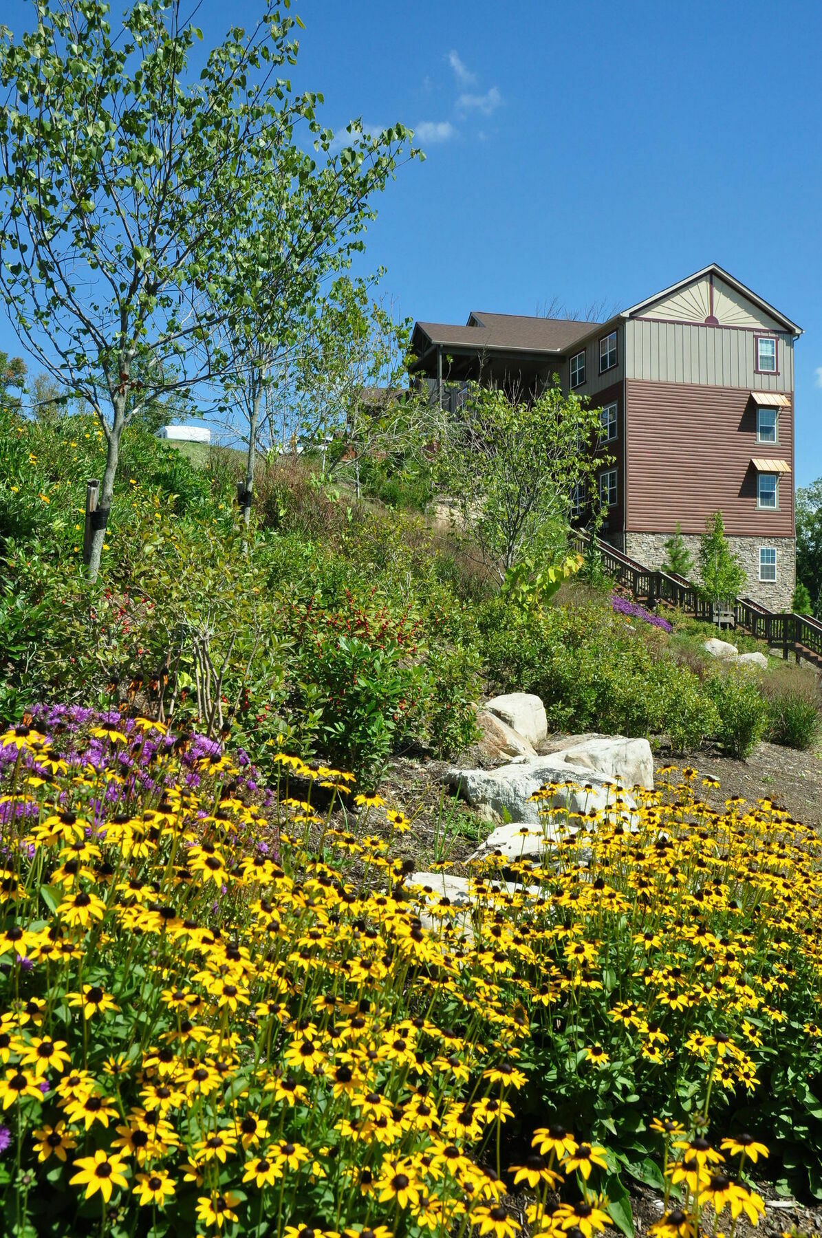 The Lodges Of The Great Smoky Mountains Pigeon Forge Eksteriør billede
